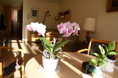 Zimmertisch mit Blumen
